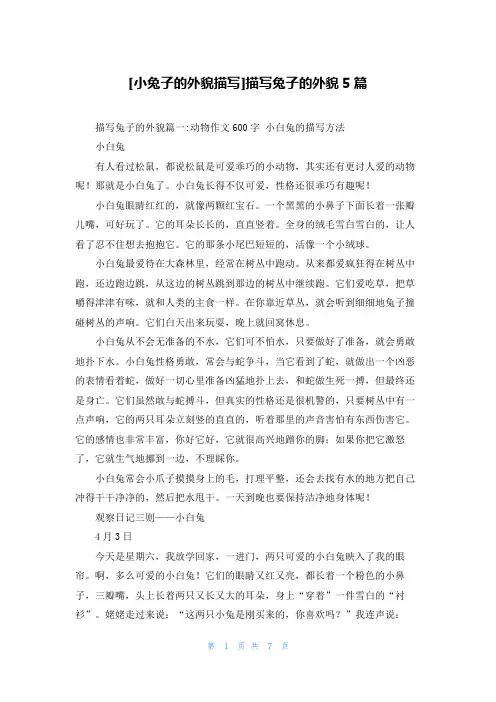 [小兔子的外貌描写]描写兔子的外貌5篇
