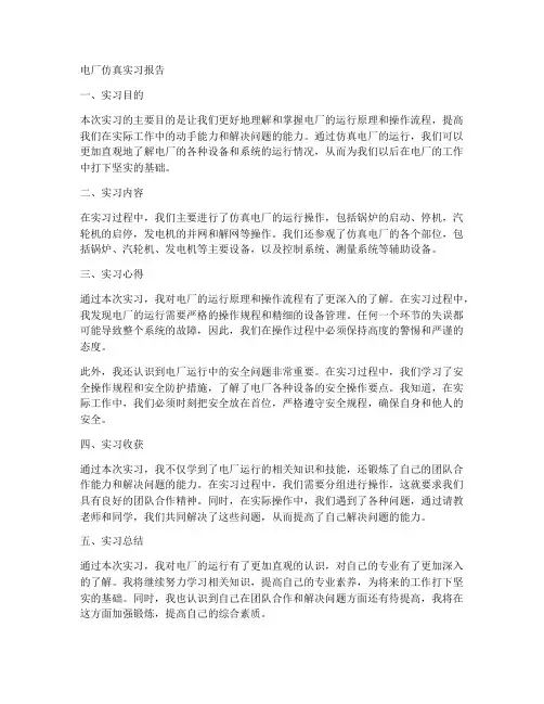 电厂仿真实习报告
