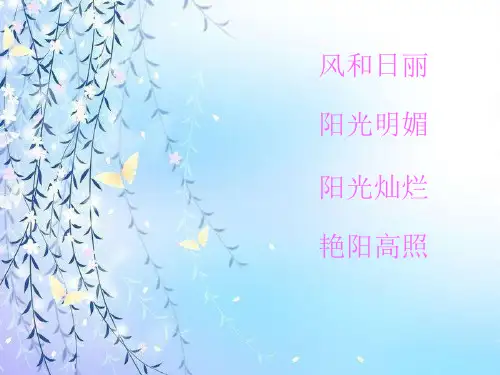 西师版六年级上册语文第22课--收藏阳光课件