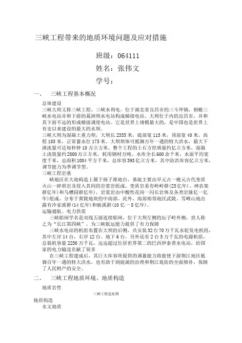峡工程带来的地质环境问题及应对措施