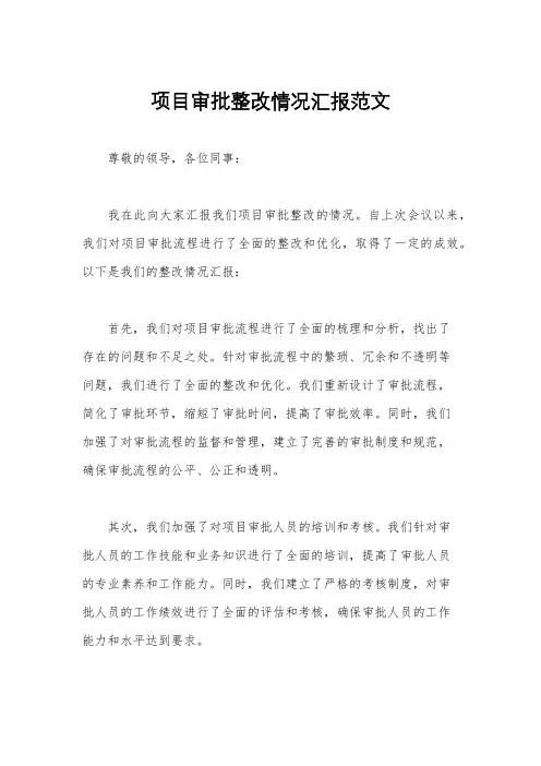 项目审批整改情况汇报范文