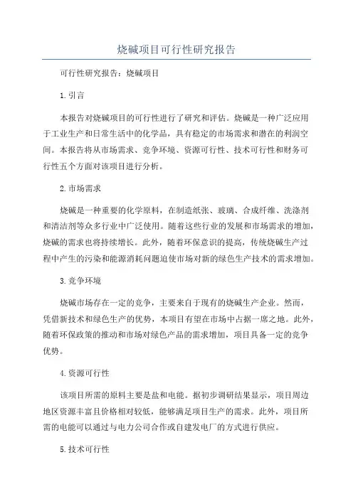 烧碱项目可行性研究报告