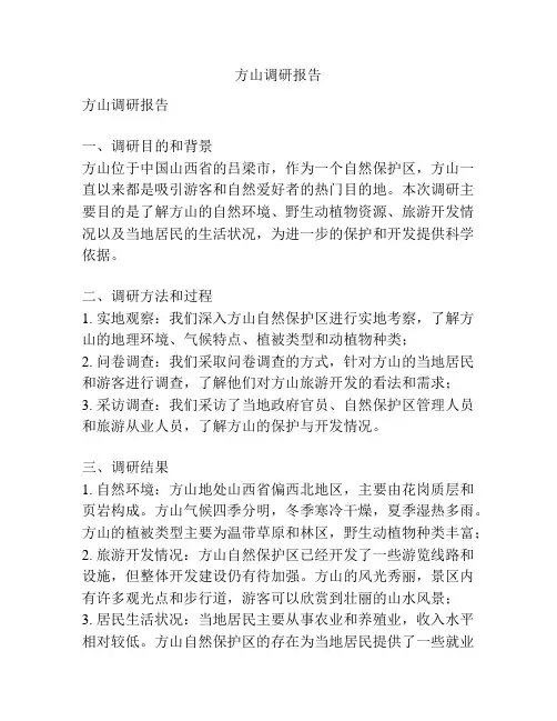 方山调研报告