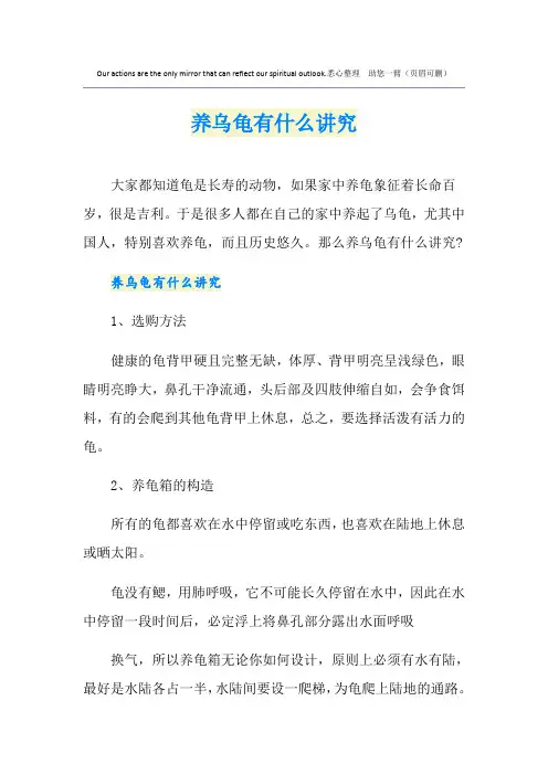 养乌龟有什么讲究