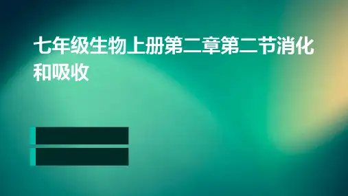 七年级生物上册第二章第二节消化和吸收