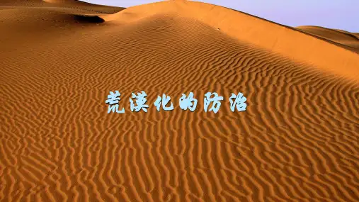 人教版高二地理必修三《2.1荒漠化的防治——以我国西北地区为例》公开课教学课件共16张PPT(共16张PPT)