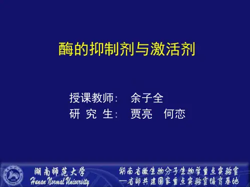酶的抑制剂与激活剂