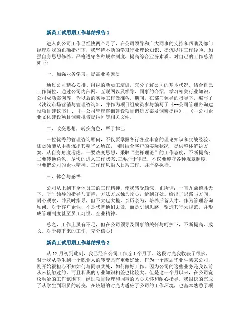 新员工试用期工作总结报告10篇