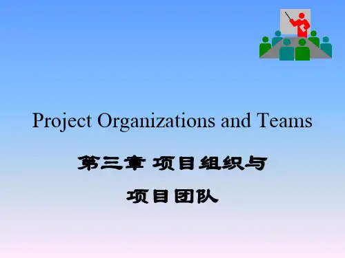 《项目组织与团队》PPT课件