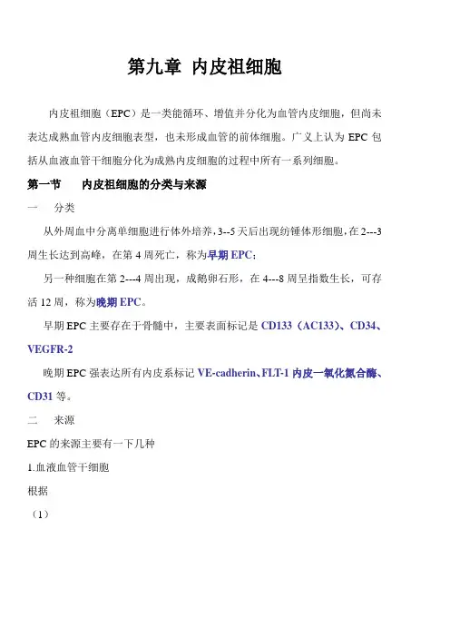 第九章 内皮祖细胞