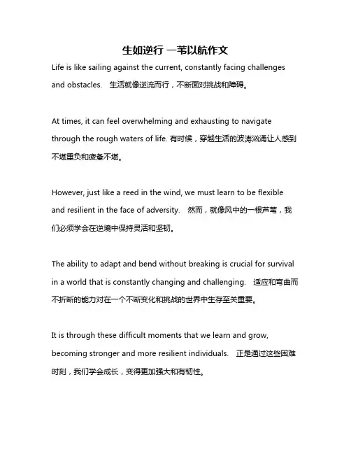 生如逆行 一苇以航作文