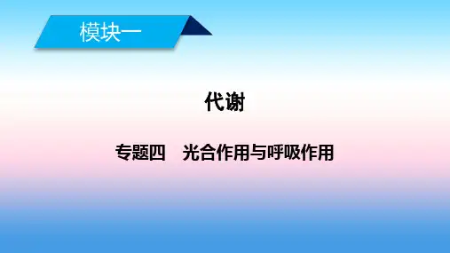 2019高考生物大二轮复习精品课件：专题四 光合作用与呼吸作用