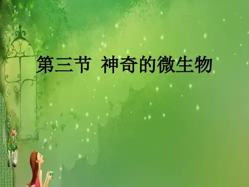 苏教版初中生物八上 5.14.3 神奇的微生物 课件  (共26张PPT)
