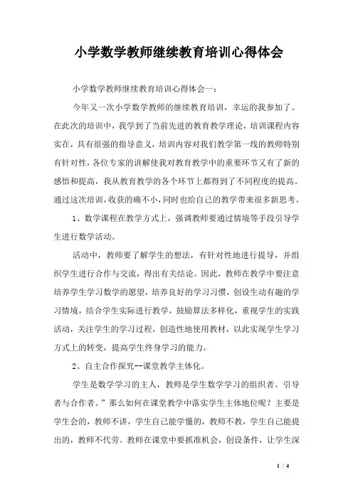 小学数学教师继续教育培训心得体会