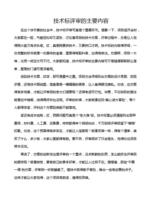 技术标评审的主要内容