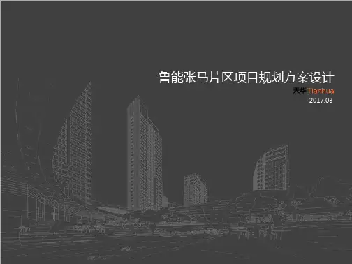 山东济南鲁能张马片区容积率3.5现代风格高层天华(112页)