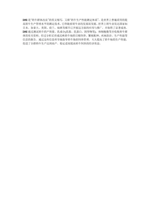 DHI基本介绍