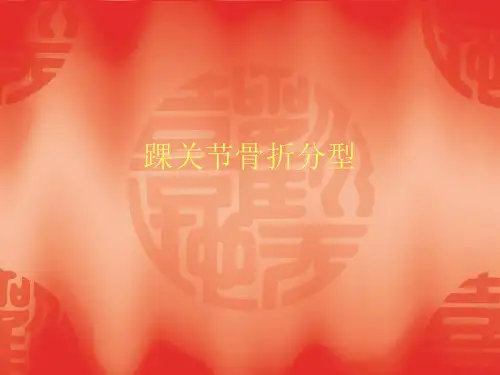 踝关节骨折分型PPT课件
