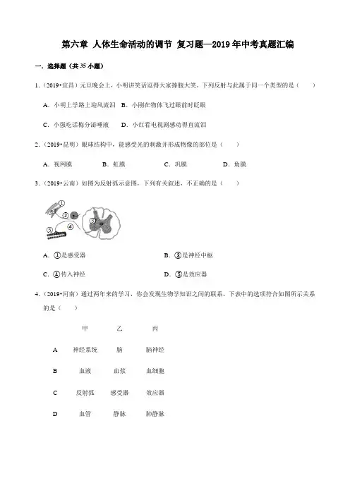 人教版生物七年级下册第六章 人体生命活动的调节 复习题—2019年中考真题汇编(含答案)