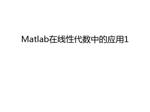 Matlab在线性代数中的应用1讲课讲稿