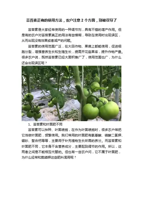 芸苔素正确的使用方法，农户注意2个方面，别被误导了