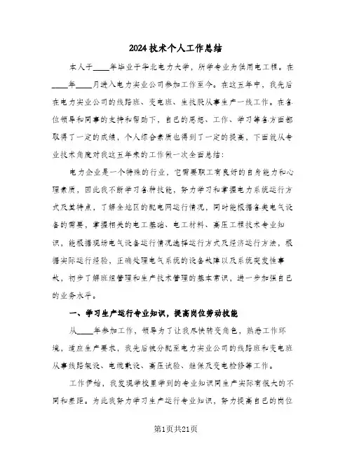 2024技术个人工作总结(6篇)