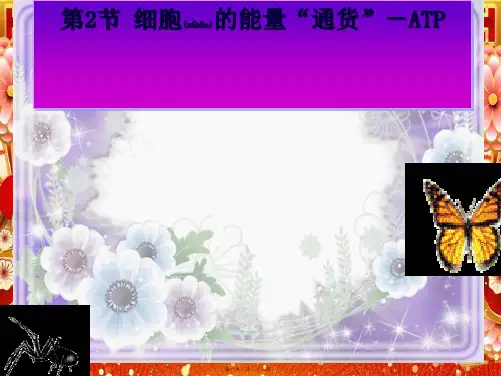 高中生物 第五章 细胞的能量供应和利用 5.2 细胞的能量“通货”—atp课件高一必修1生物课件