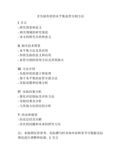 含先验形状的水平集血管分割方法