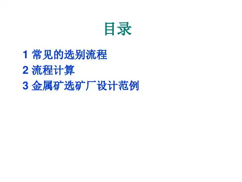 金属矿选矿厂设计概要.ppt
