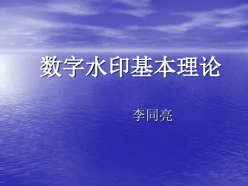 数字水印基本理论
