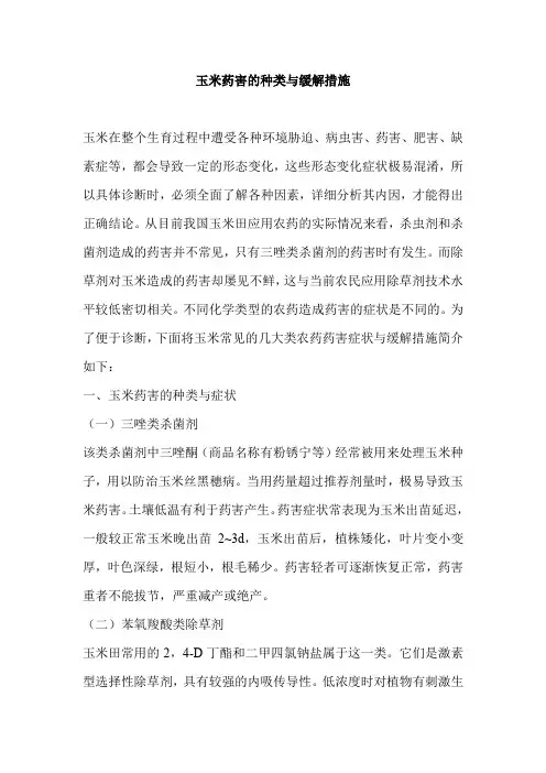 玉米药害的种类与缓解措施