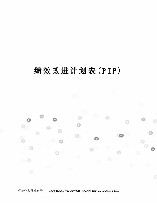 绩效改进计划表(PIP)