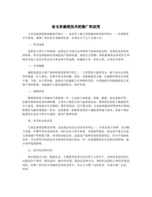 论玉米栽培技术的推广和应用