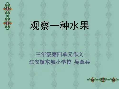 三年级上册作文PPT观察一种水果