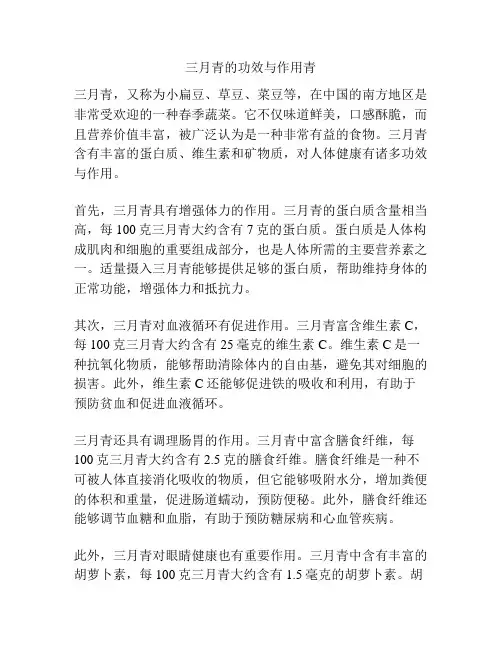 三月青的功效与作用青