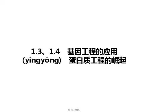 高考生物 第一轮复习 1.3、1.4基因工程的应用蛋白质工程的崛起精品课件 新人教版选修3