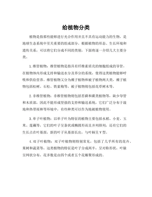 给植物分类