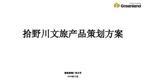 文旅产品策划方案,华南第一小镇拾野川案例