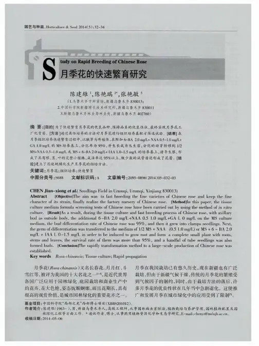 月季花的快速繁育研究