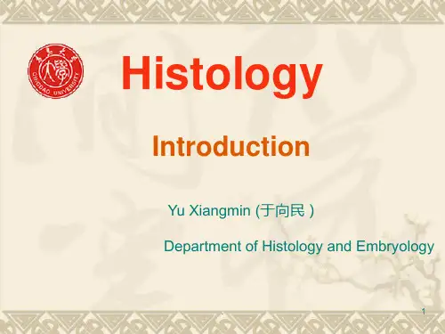 组织学与胚胎学绪论中英PPT课件