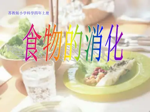四年级上册科学课件-4.3 食物的消化｜苏教版 (共8张PPT)