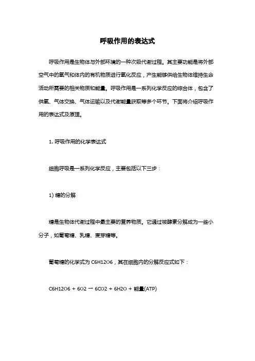 呼吸作用的表达式