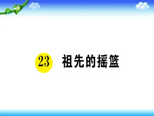 祖先的摇篮PPT课件