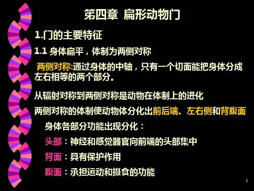 扁形动物ppt课件