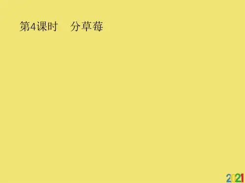 二级下册数学课件分草莓｜北师大版全套ppt