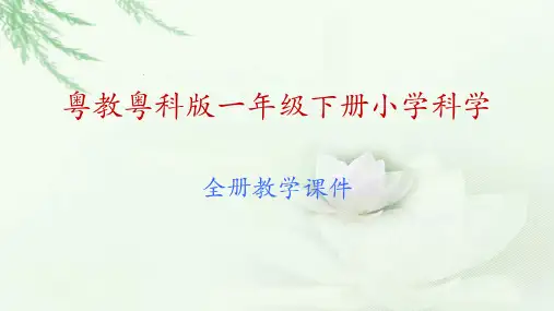 (新教材)粤教版一年级下册科学全册教学课件