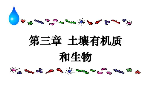 第三章土壤有机质和生物