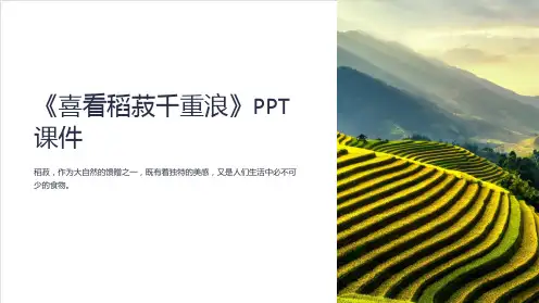 《喜看稻菽千重浪》课件