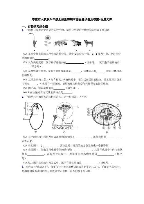 枣庄市人教版八年级上册生物期末综合题试卷及答案-百度文库