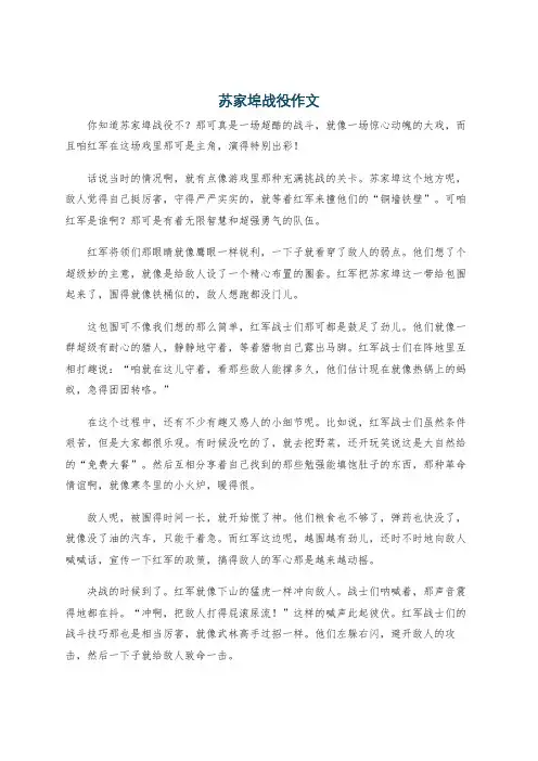 苏家埠战役作文